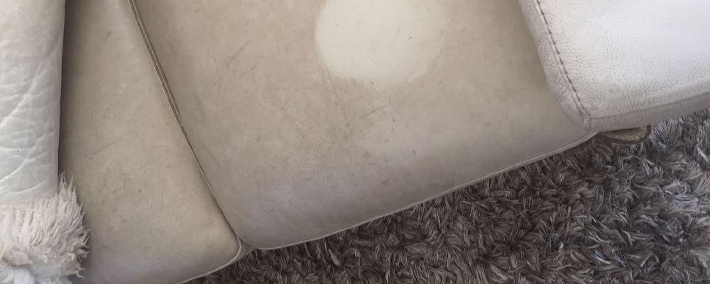 Upholstery Cleaning Longueville