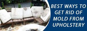 Get Rid Of Mold From Upholstery Melbourne