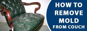 How to remove mold from couch