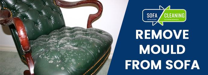 Remove Mould From Sofa