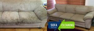 Upholstery Mould Removal