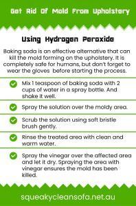 Get Rid Of Mold From Upholstery