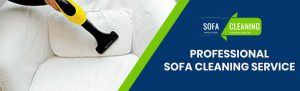 Professional Sofa Cleaning Service