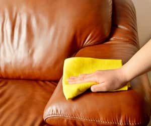 Leather-Upholstery-Cleaning