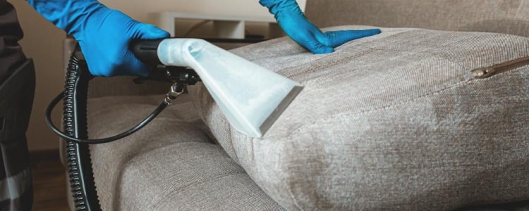  Professional Upholstery Cleaning Service