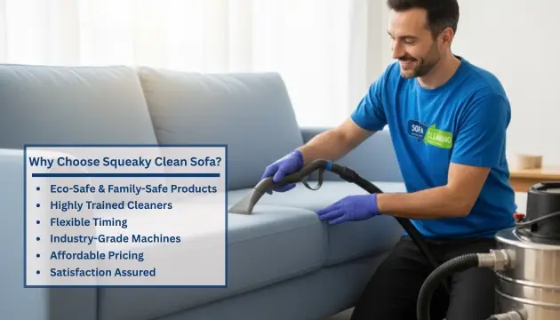 Choose Squeaky Clean Sofa